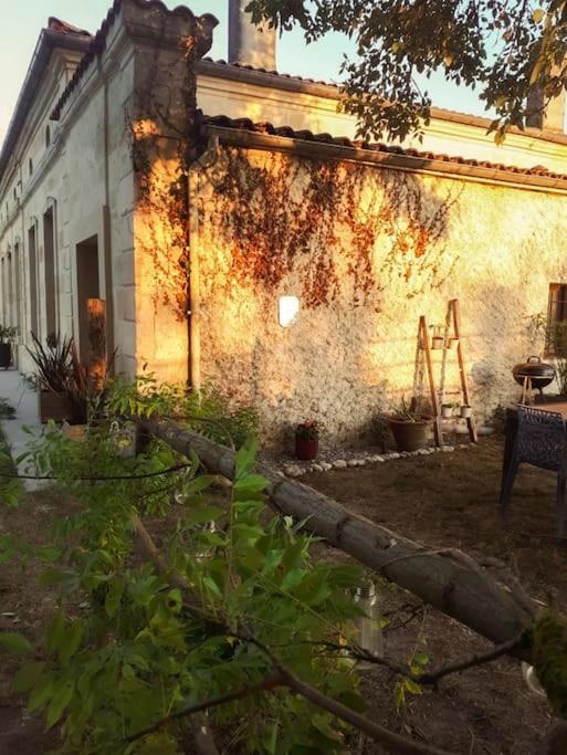 Gite A La Ferme Chaleureux Apartment Civrac-de-Blaye Екстериор снимка